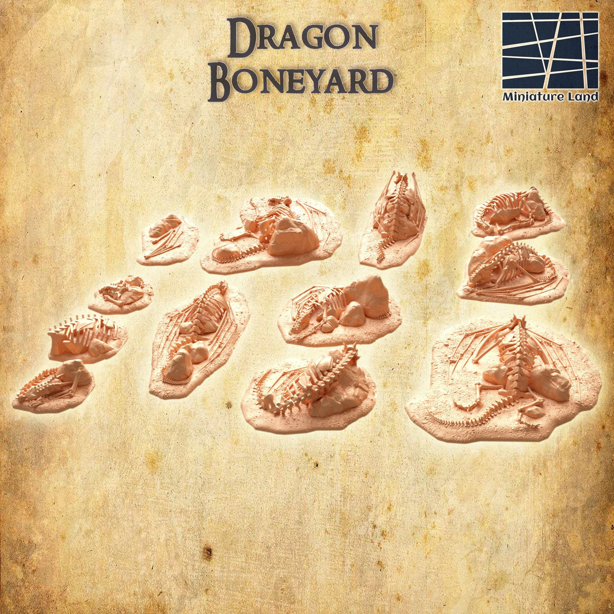 Dragon Boneyard