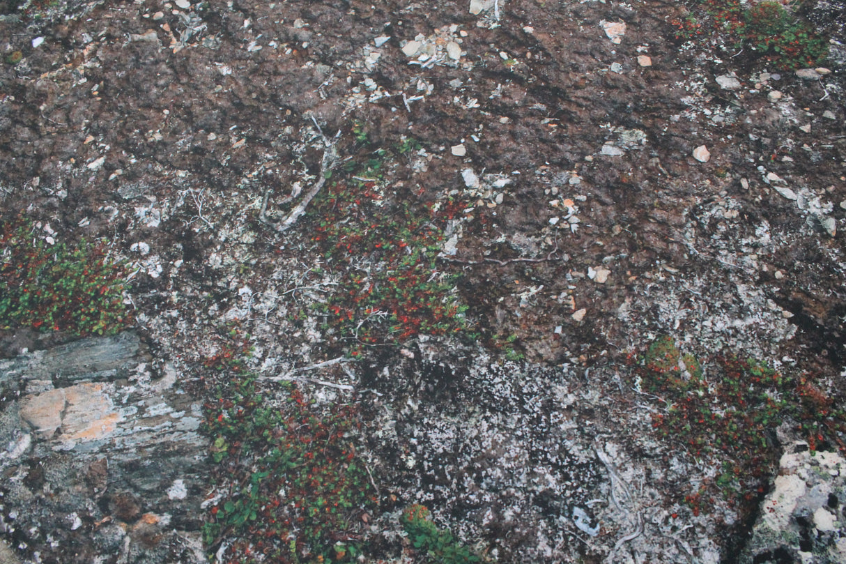 Muddy Battlefield - Neoprene Battle Mat with Bag