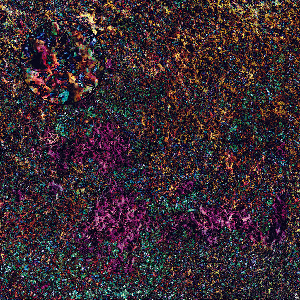 Mats by Mars: Mushroom Forest Tabletop Wargaming Play Mat