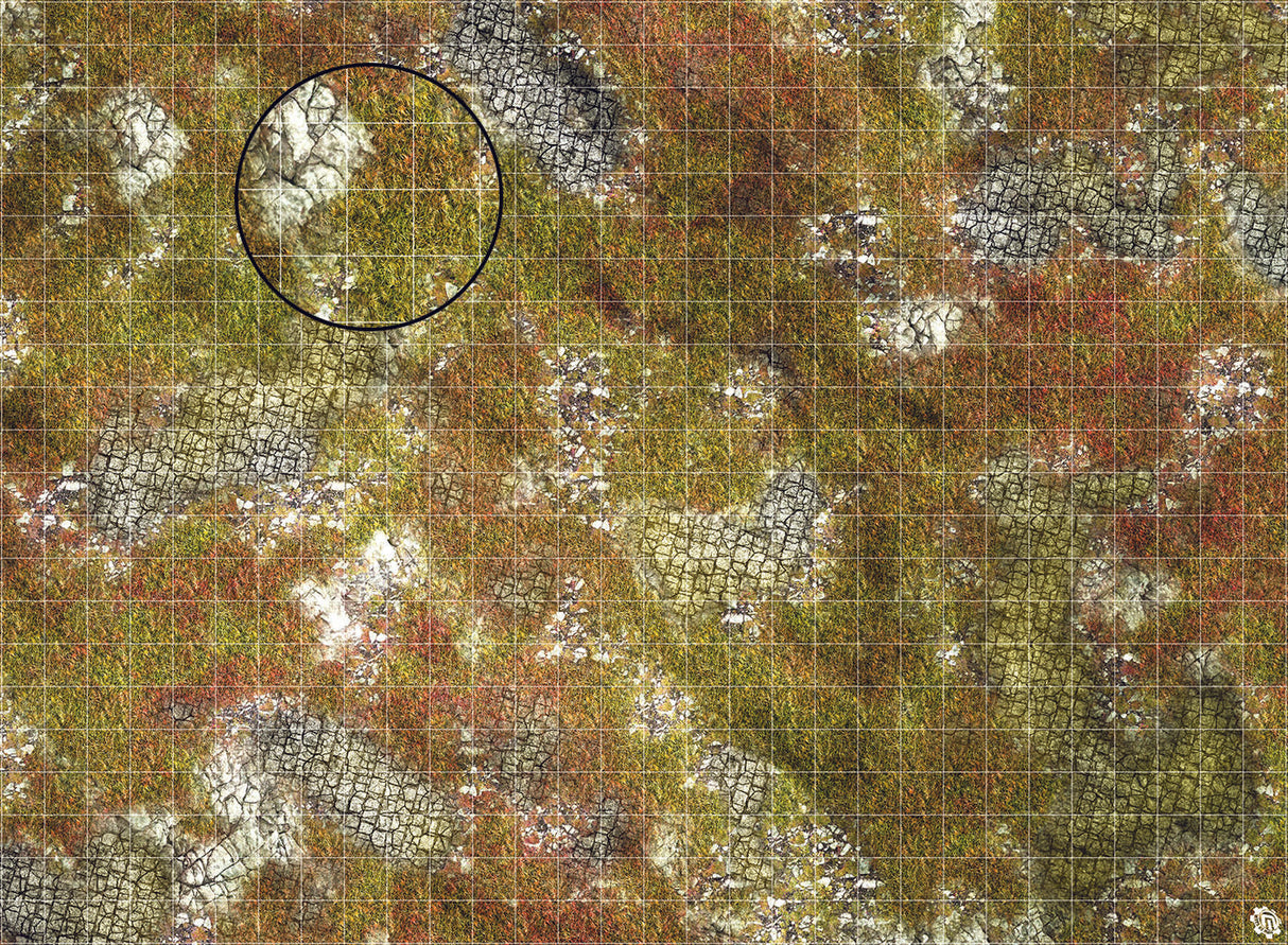 Mats by Mars: Abandoned City Tabletop Wargaming Play Mat