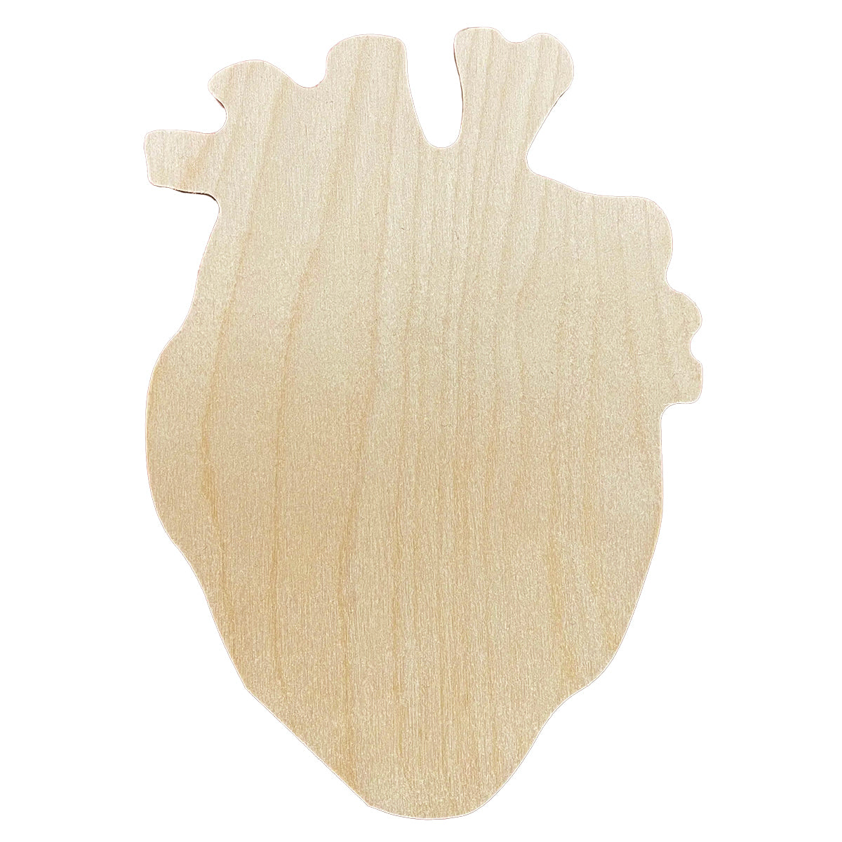 Trekell Anatomical Heart Panel - Wooden Painting Canvas