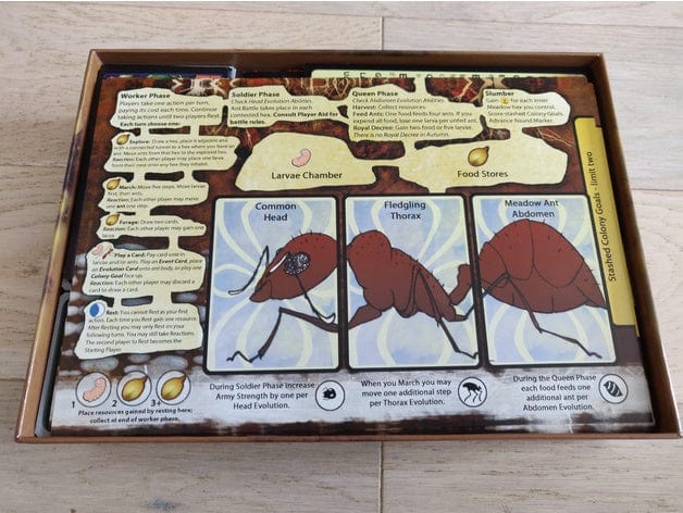 March of the Ants + Expansions Board Game Insert / Organizer