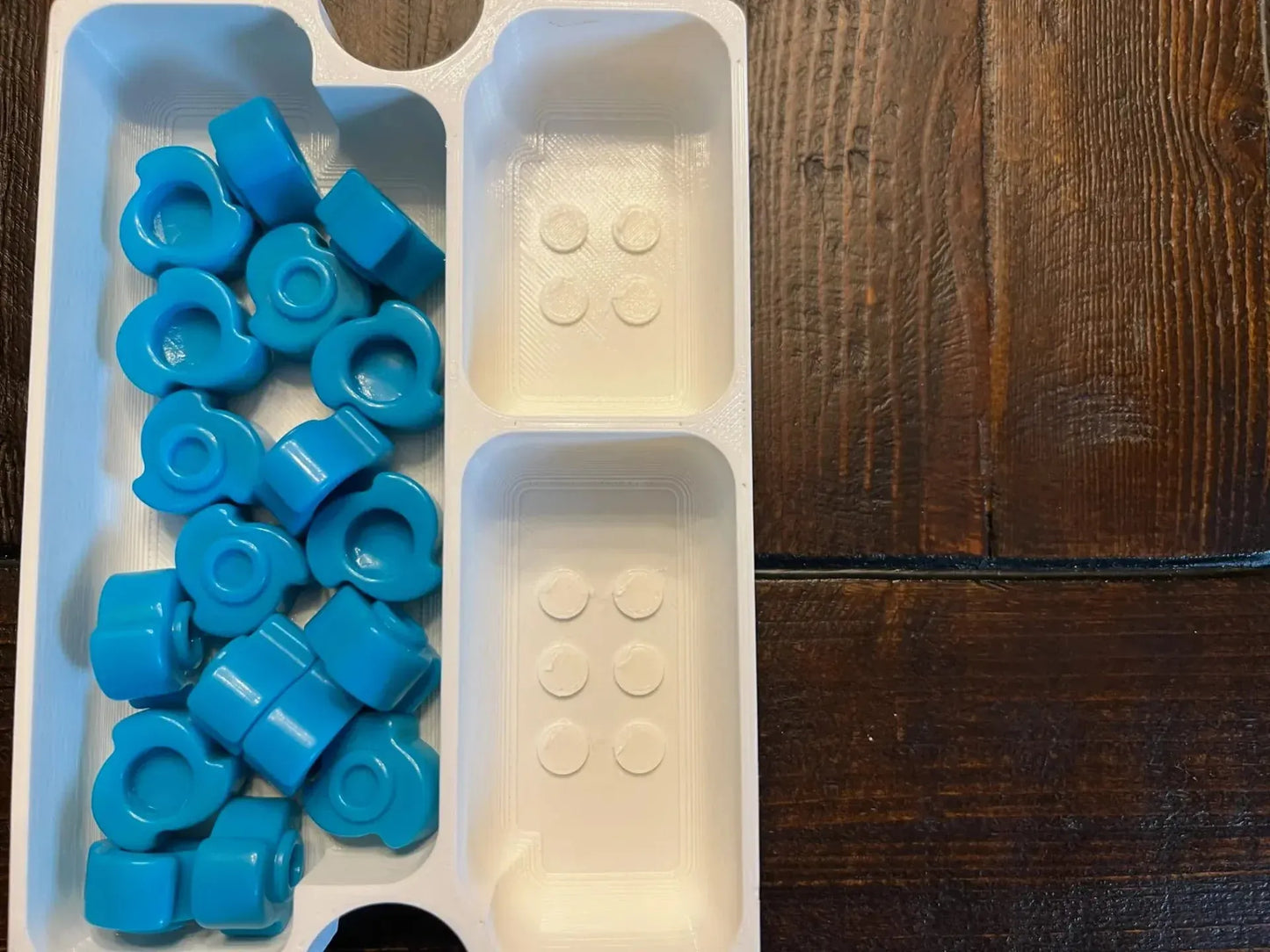 Reef Board Game Insert / Organizer
