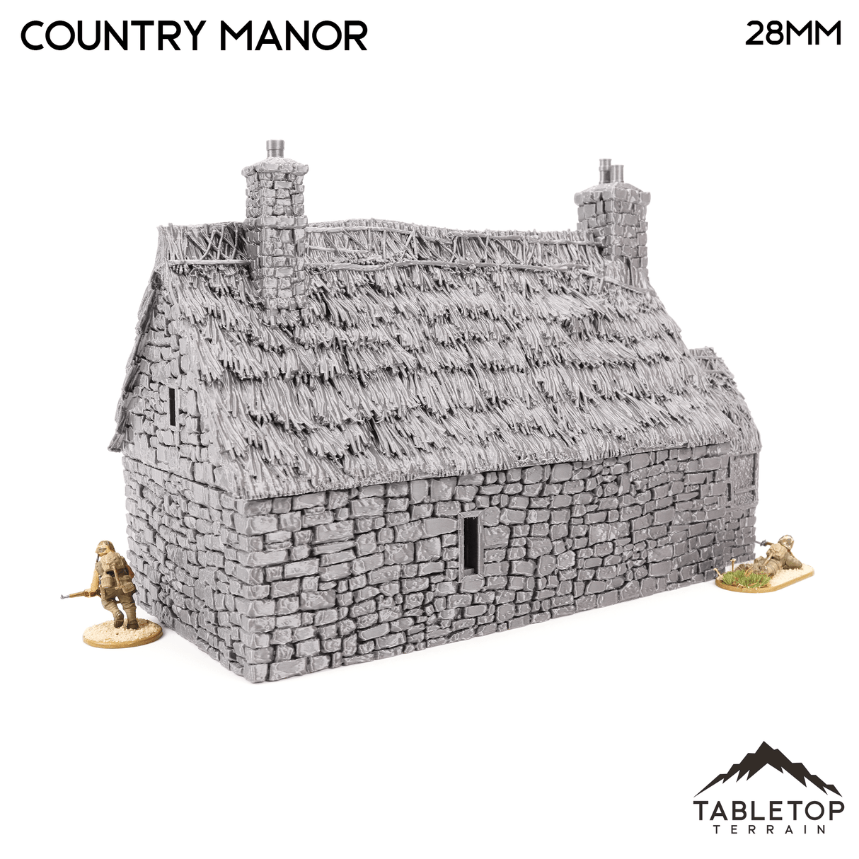Country Manor - Country & King - Fantasy Historical Building