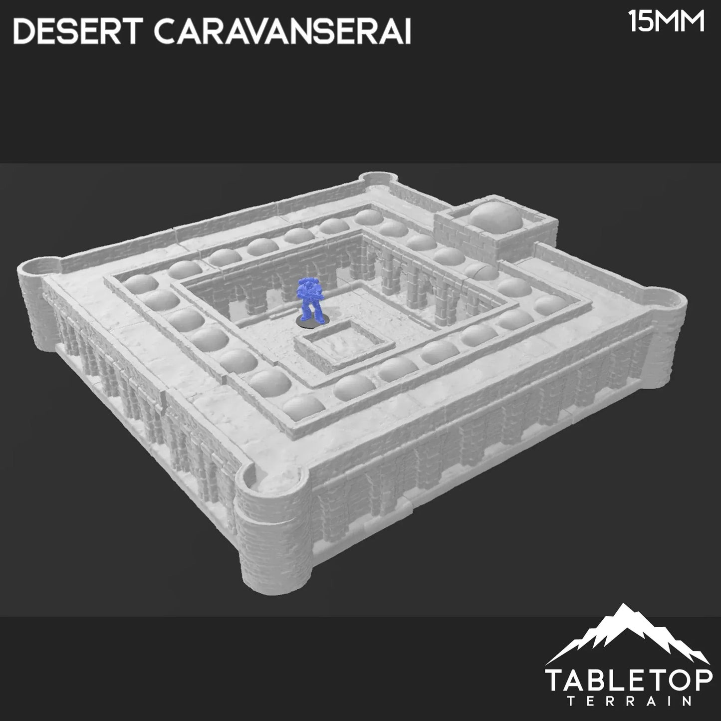Desert Caravanserai