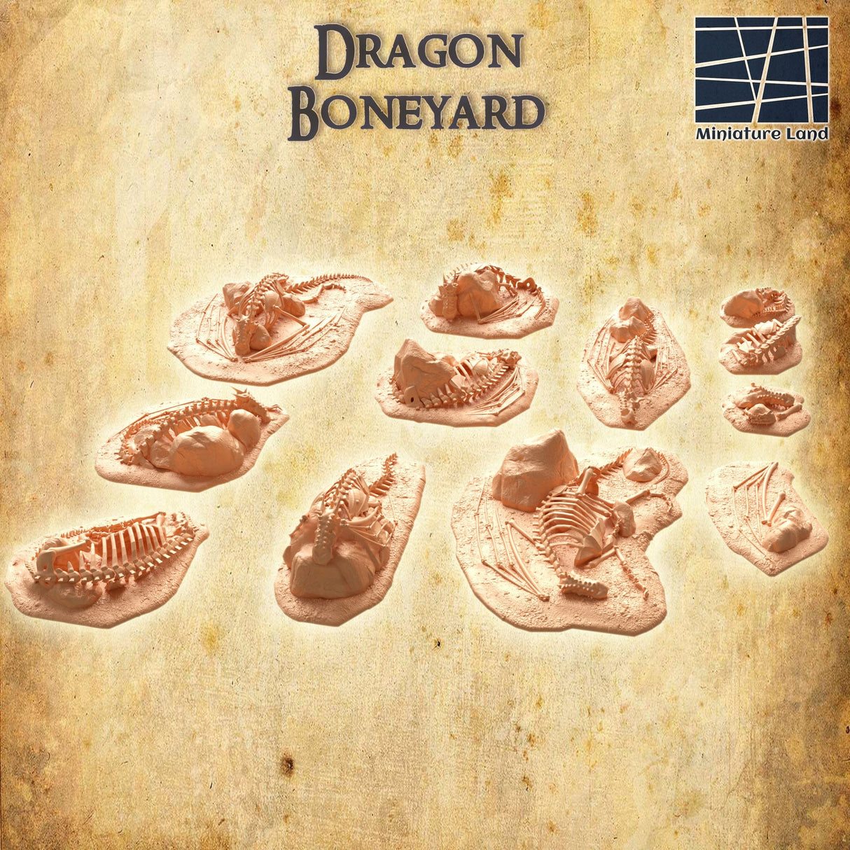 Dragon Boneyard