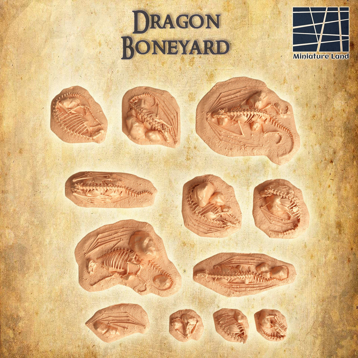 Dragon Boneyard