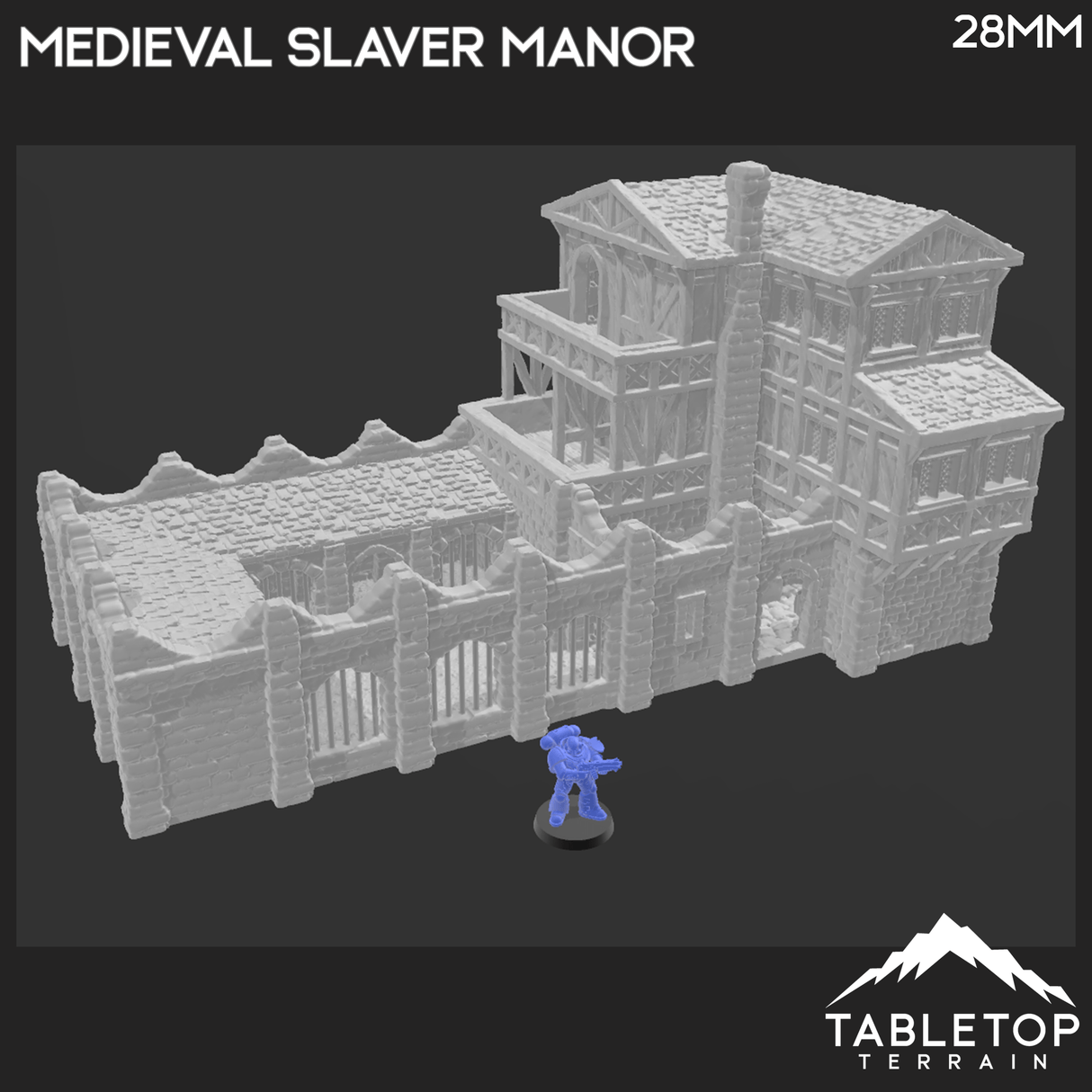 Medieval Slaver Manor