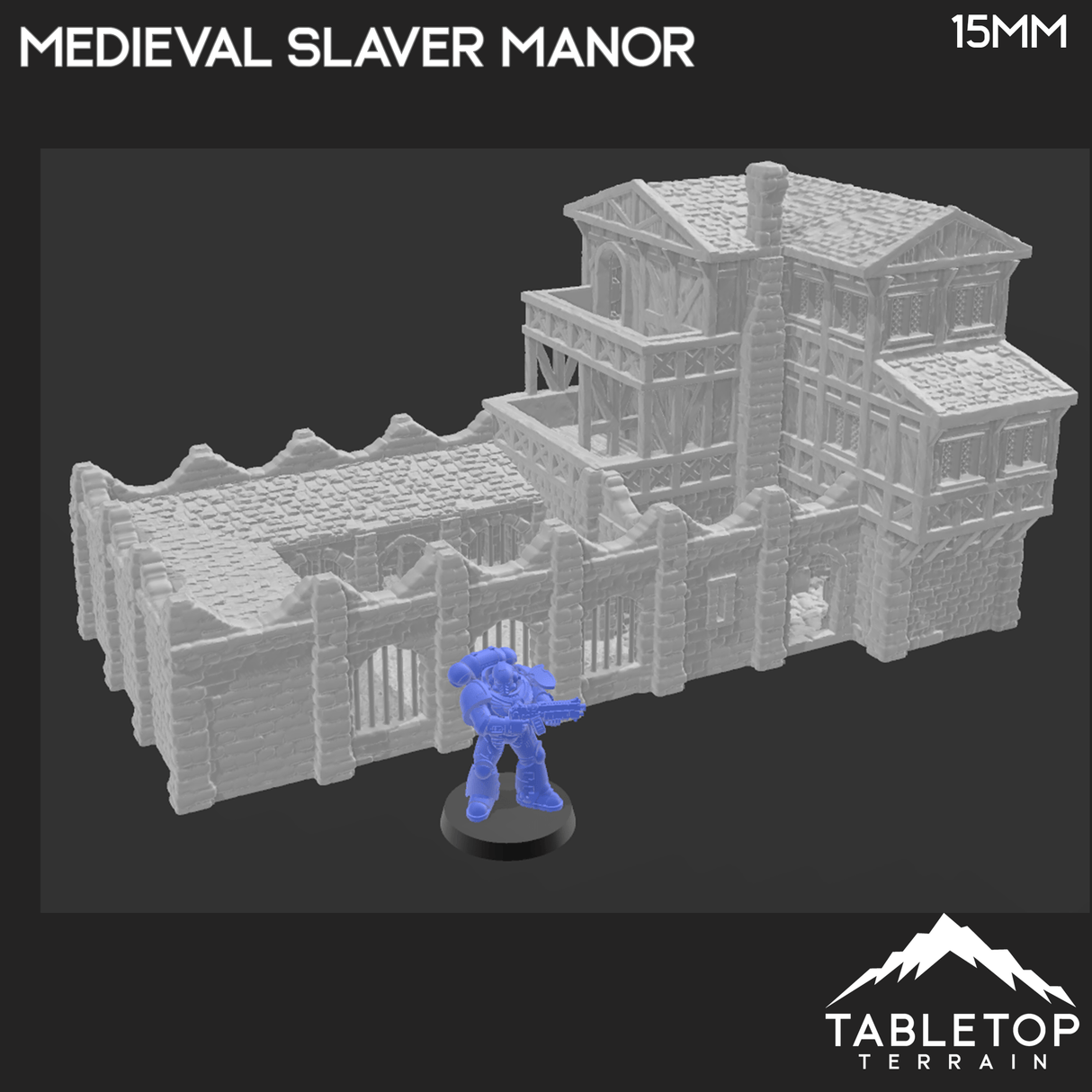 Medieval Slaver Manor