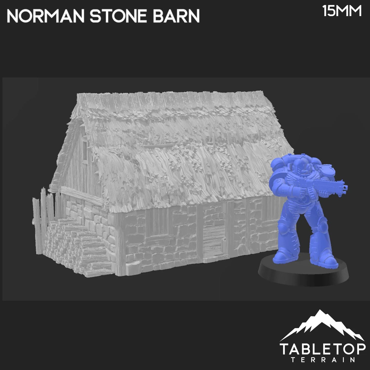 Norman Stone Barn - Country & King - Fantasy Historical Building