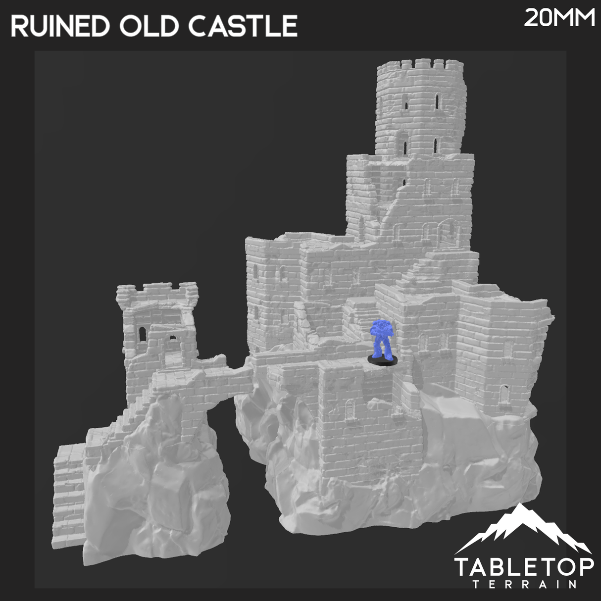 Ruined Old Castle
