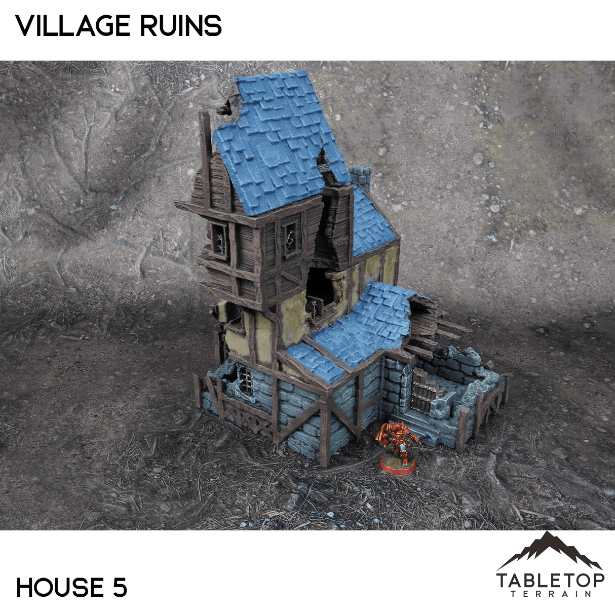 Village Ruins