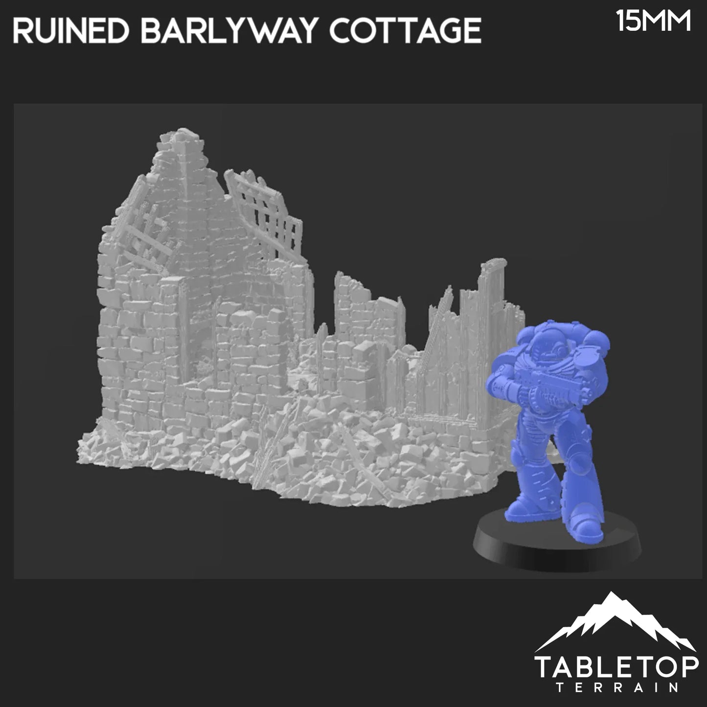 Ruined Barlyway Cottage - Country & King - Fantasy Historical Ruins