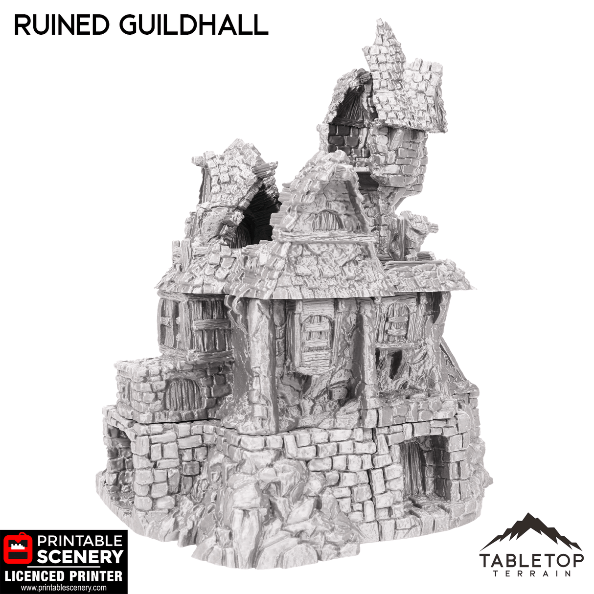 Ruined Guildhall - Hagglethorn Hollow - Fantasy Ruins