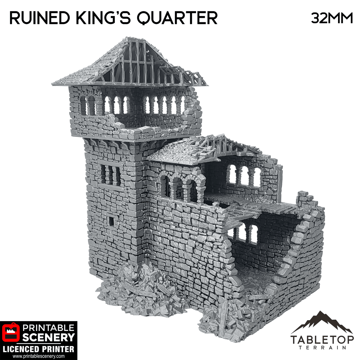 Ruined King's Quarters - Country & King - Fantasy Historical Ruins
