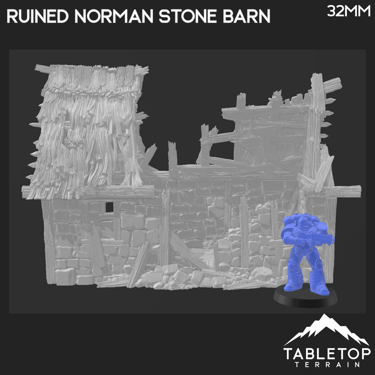 Ruined Norman Stone Barn - Country & King - Fantasy Historical Ruins