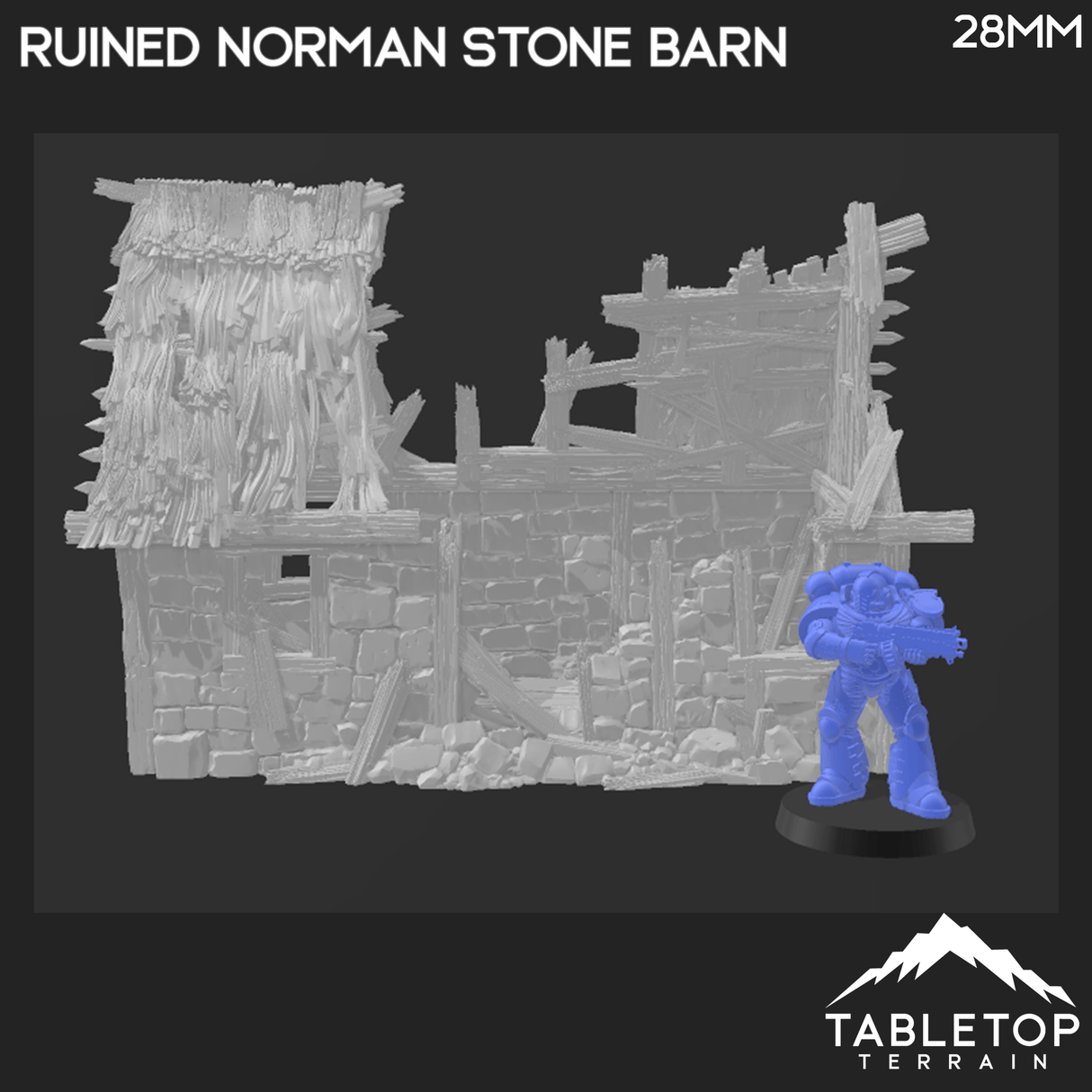 Ruined Norman Stone Barn - Country & King - Fantasy Historical Ruins