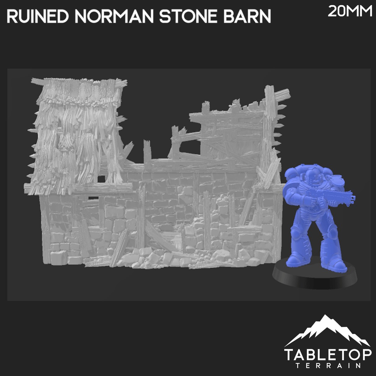 Ruined Norman Stone Barn - Country & King - Fantasy Historical Ruins