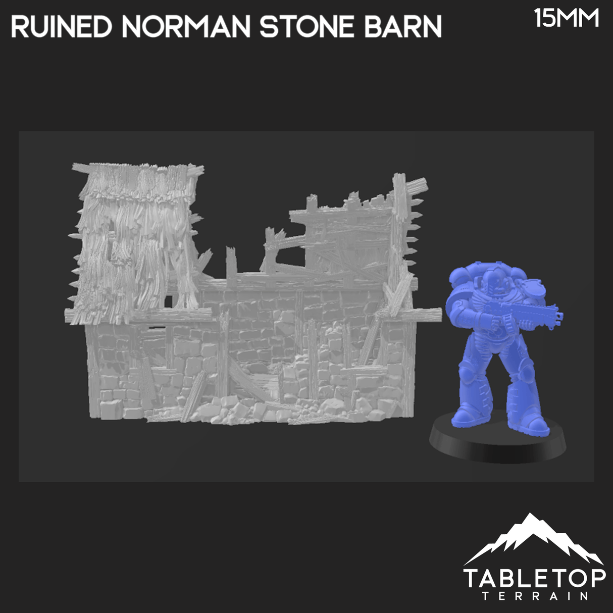 Ruined Norman Stone Barn - Country & King - Fantasy Historical Ruins