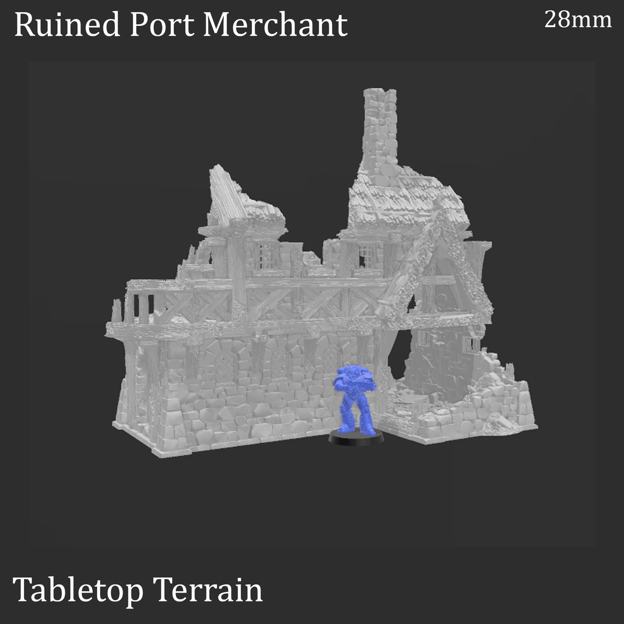 Ruined Port Merchant - Fantasy Ruins