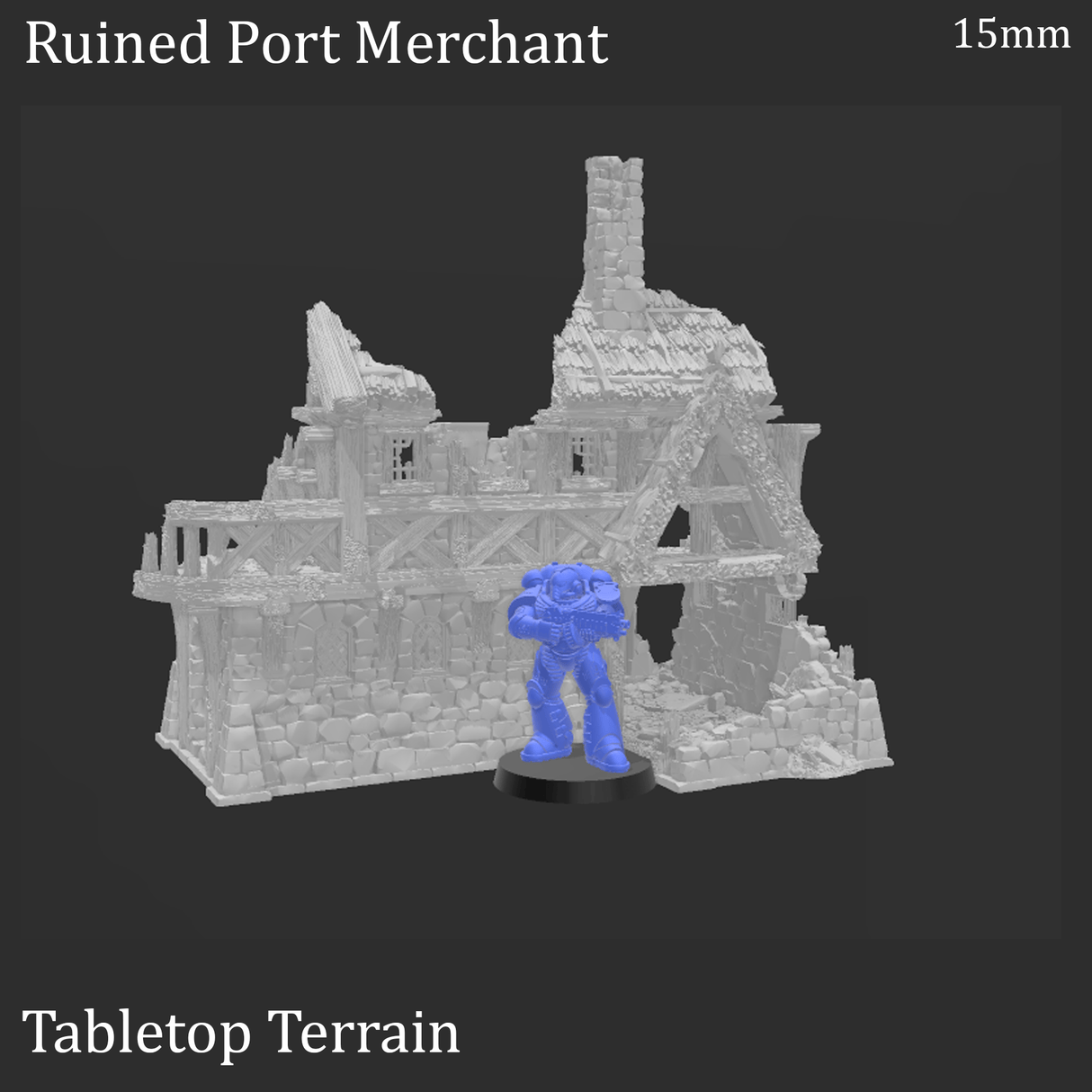 Ruined Port Merchant - Fantasy Ruins