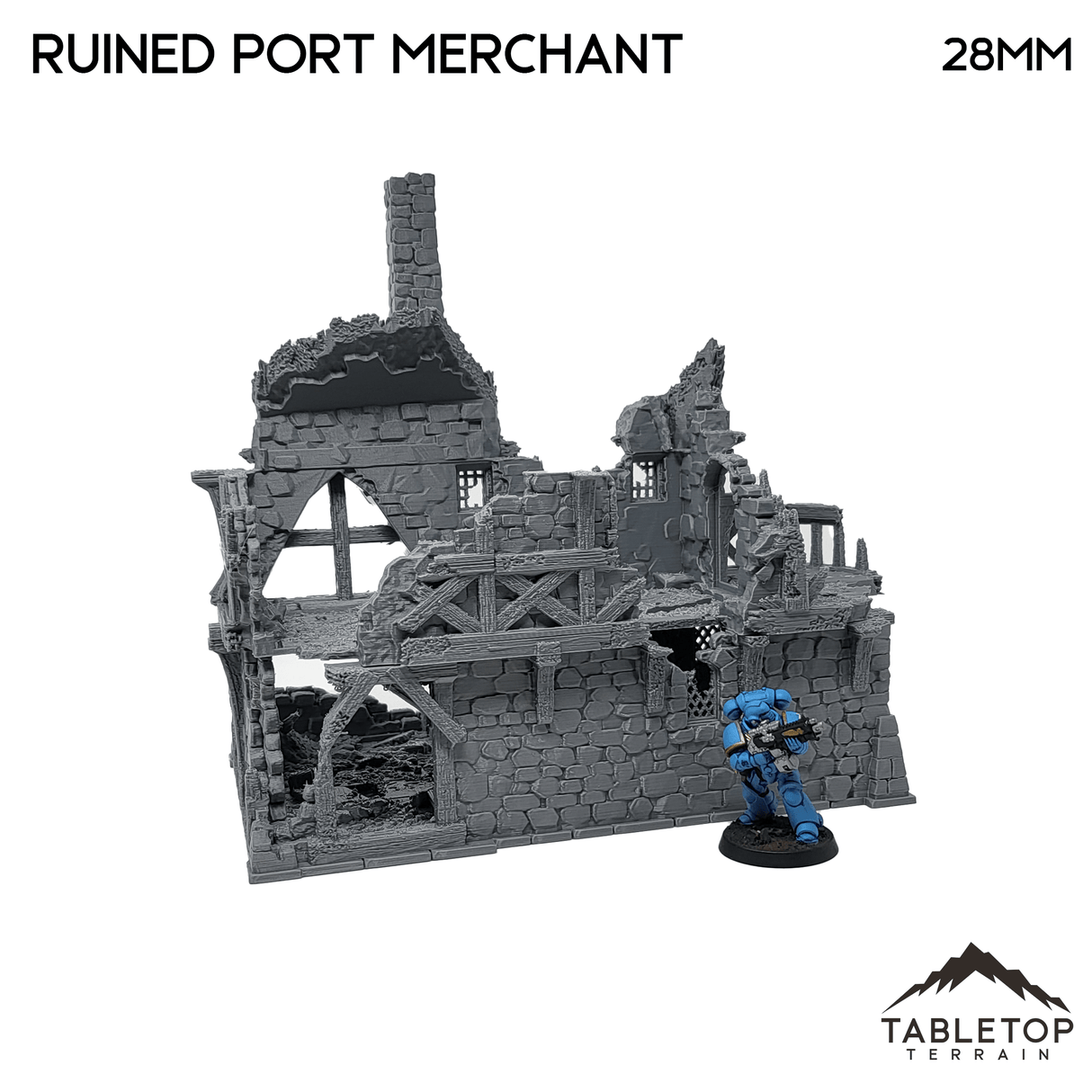 Ruined Port Merchant - Fantasy Ruins