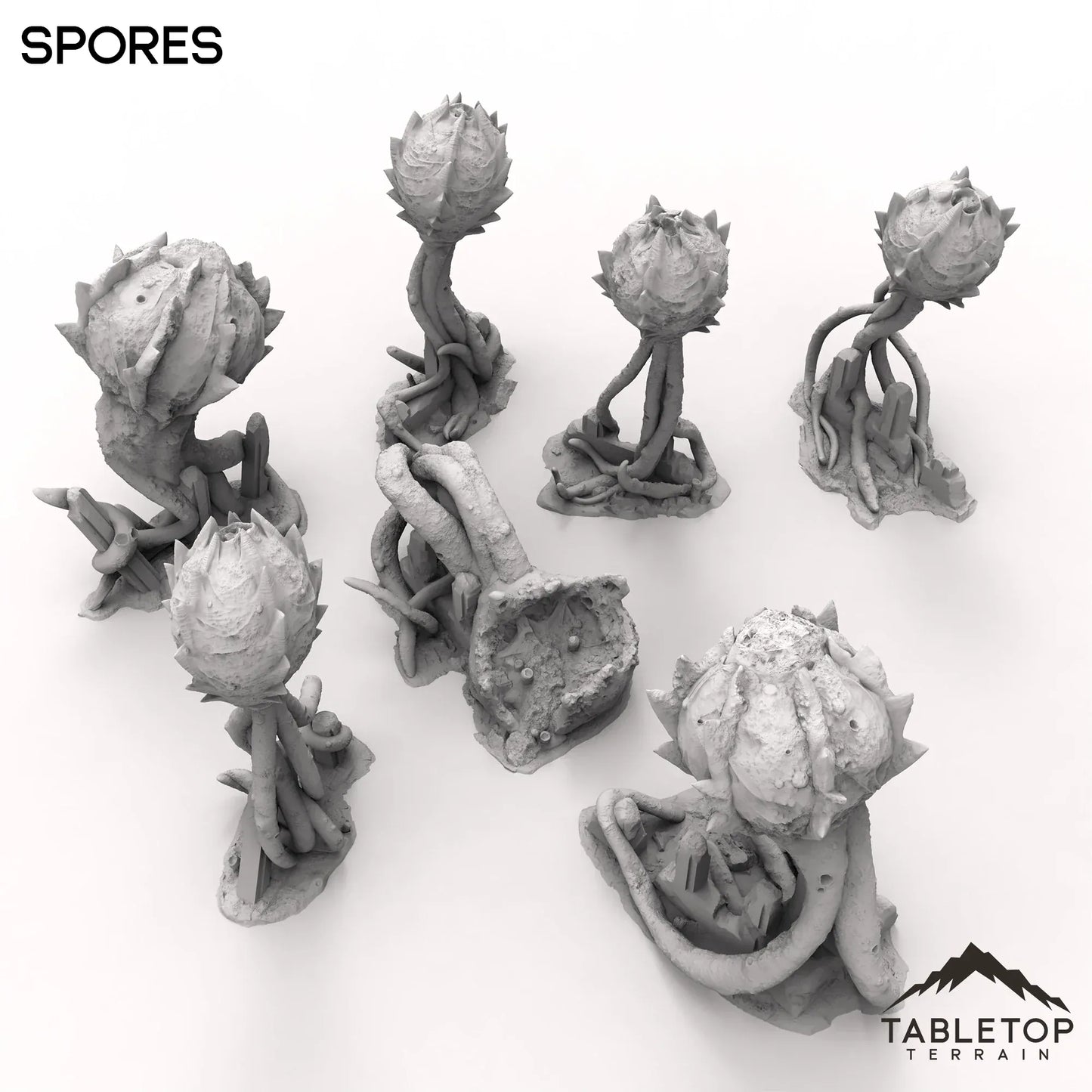 Spores