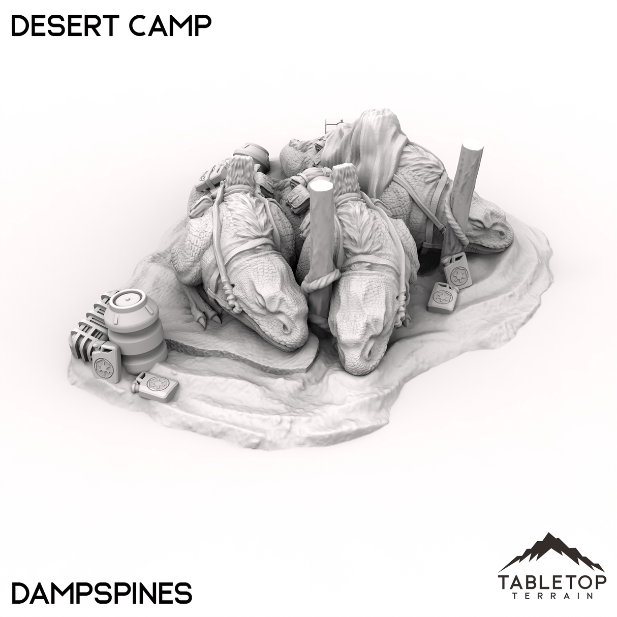 Desert Camp