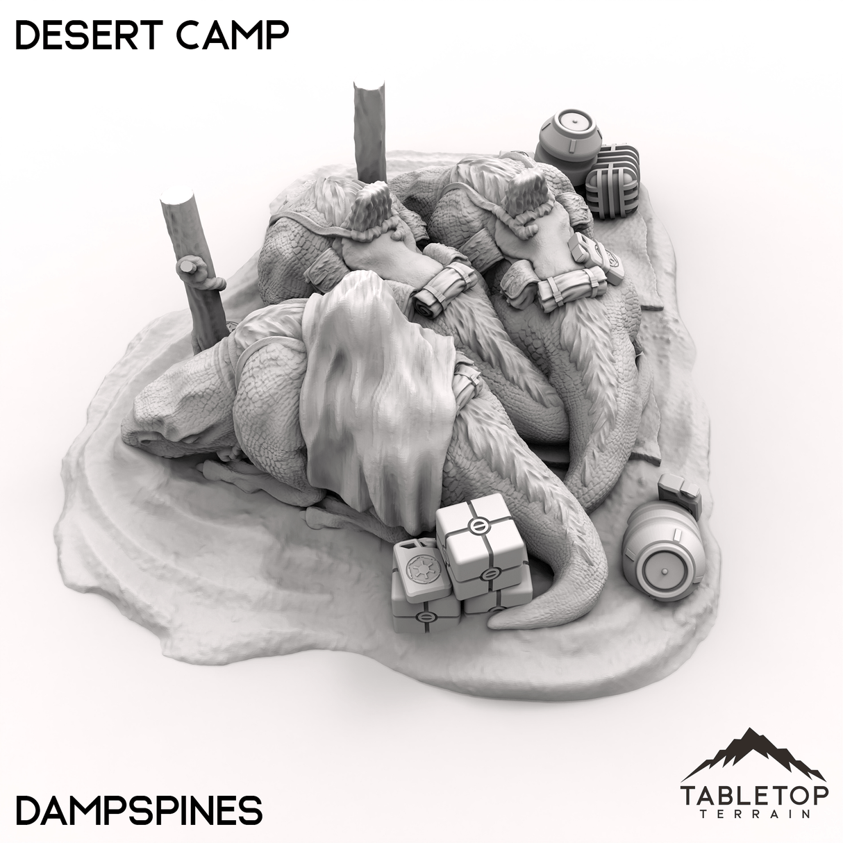 Desert Camp