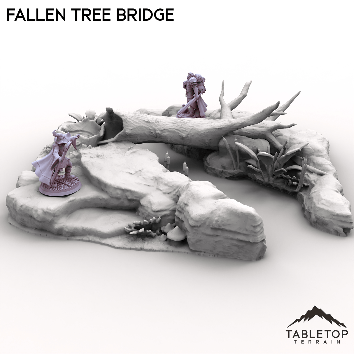 Fallen Tree Bridge