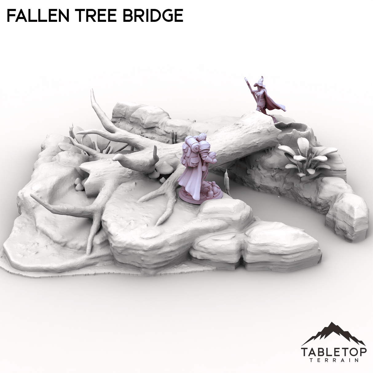 Fallen Tree Bridge