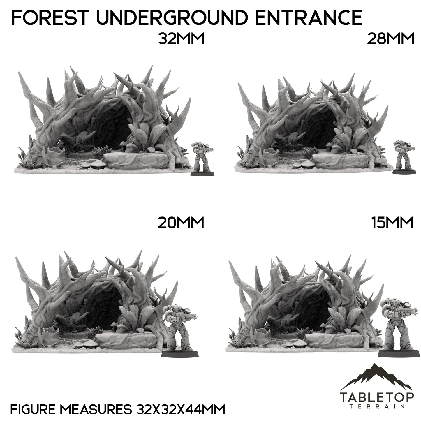 Forest Underground Entrance