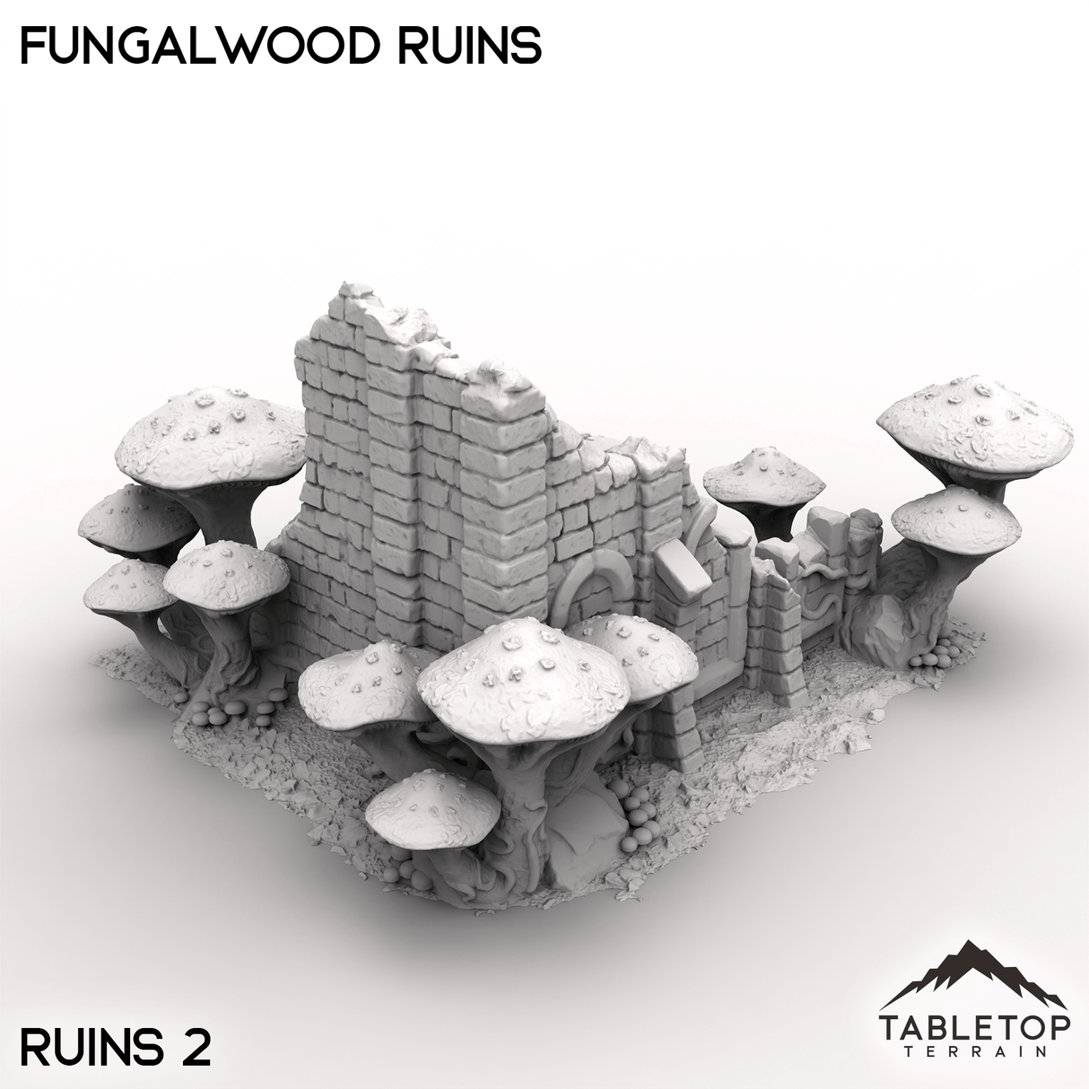 Fungalwood Ruins