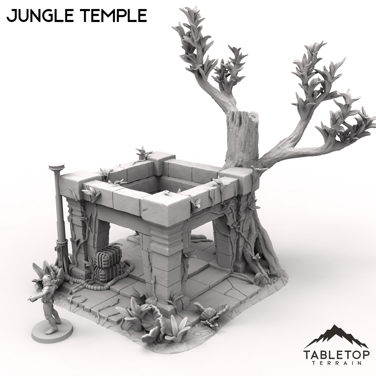Jungle Temple