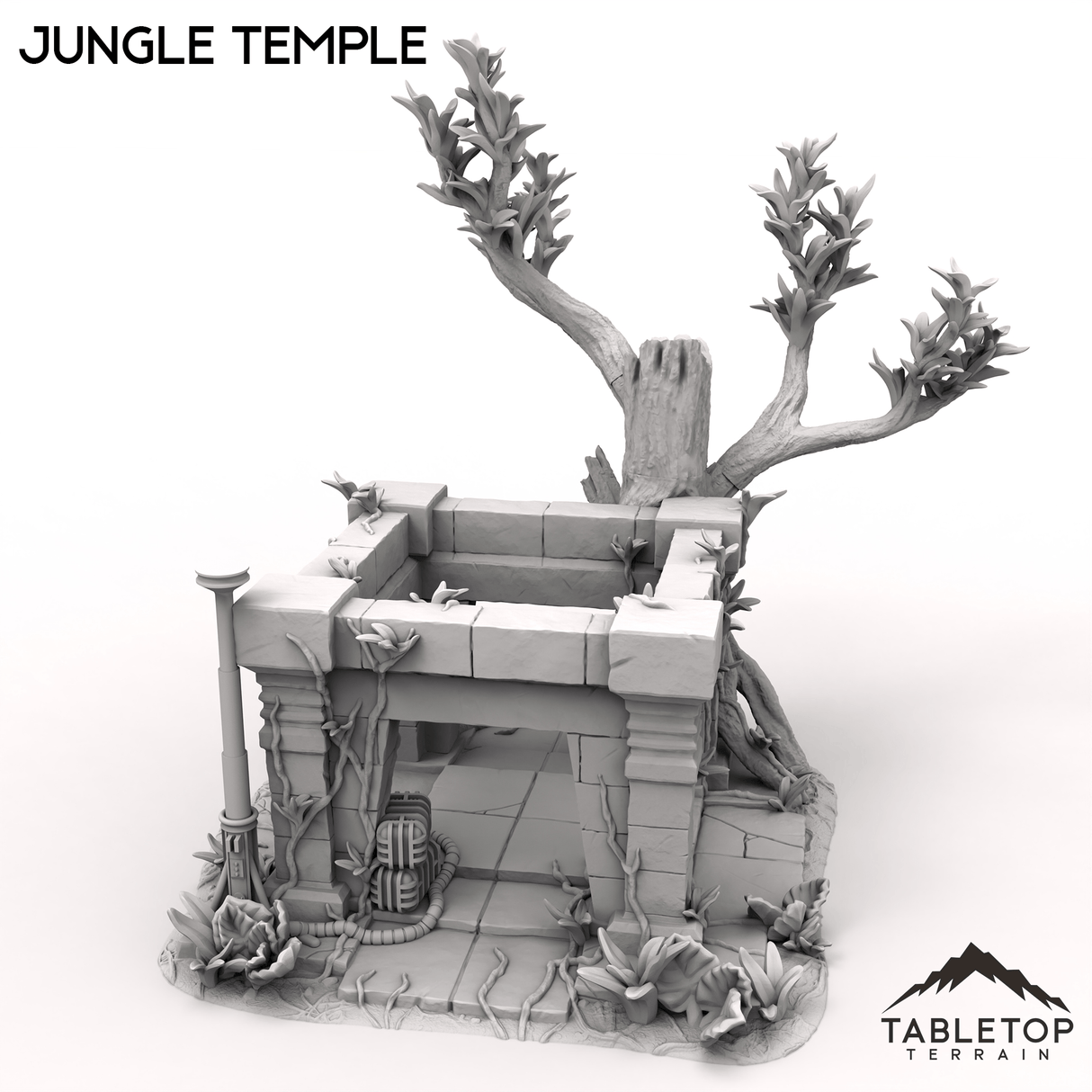 Jungle Temple