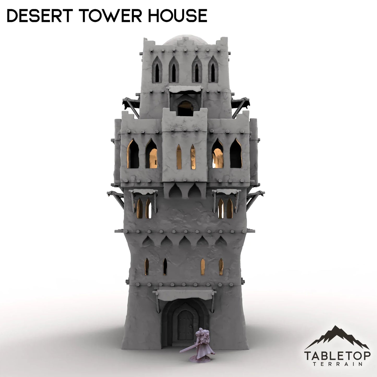 Desert Tower House