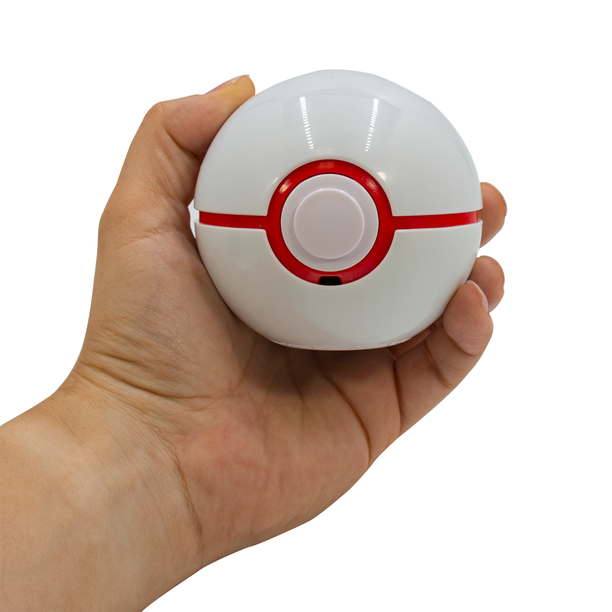 Pokémon Trainer Guess Sinnoh Edition