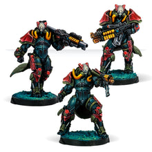 Rodoks, Armed Imposition Detachment [OOP]