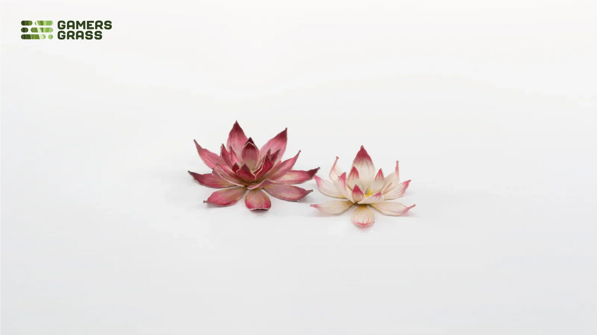 Gamers Grass | Laser Plants | Lotus Flower