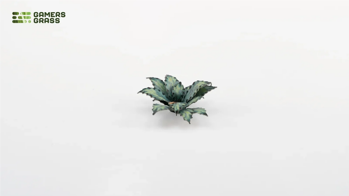 Gamers Grass | Laser Plants | Blue Agave