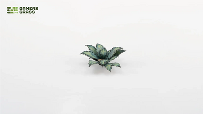 Gamers Grass | Laser Plants | Blue Agave