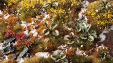 Gamers Grass | Laser Plants | Bugloss
