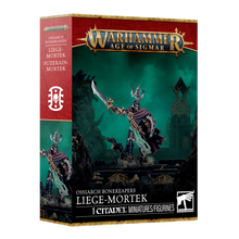 Liege-Mortek