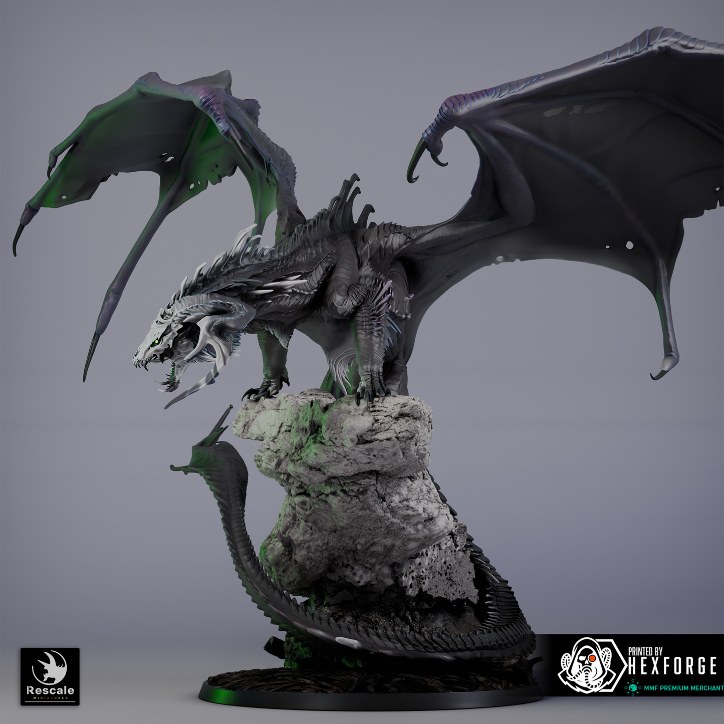 Elder Black Dragon