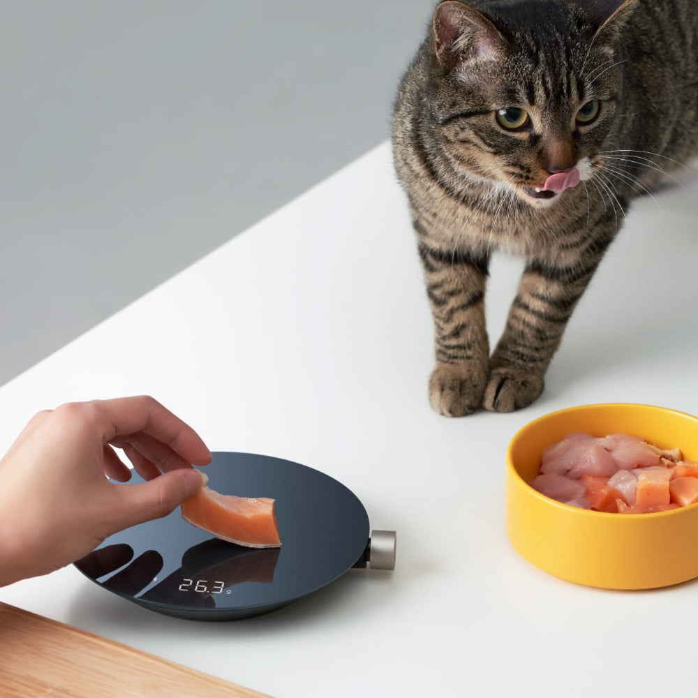 Smart Kitchen Scale