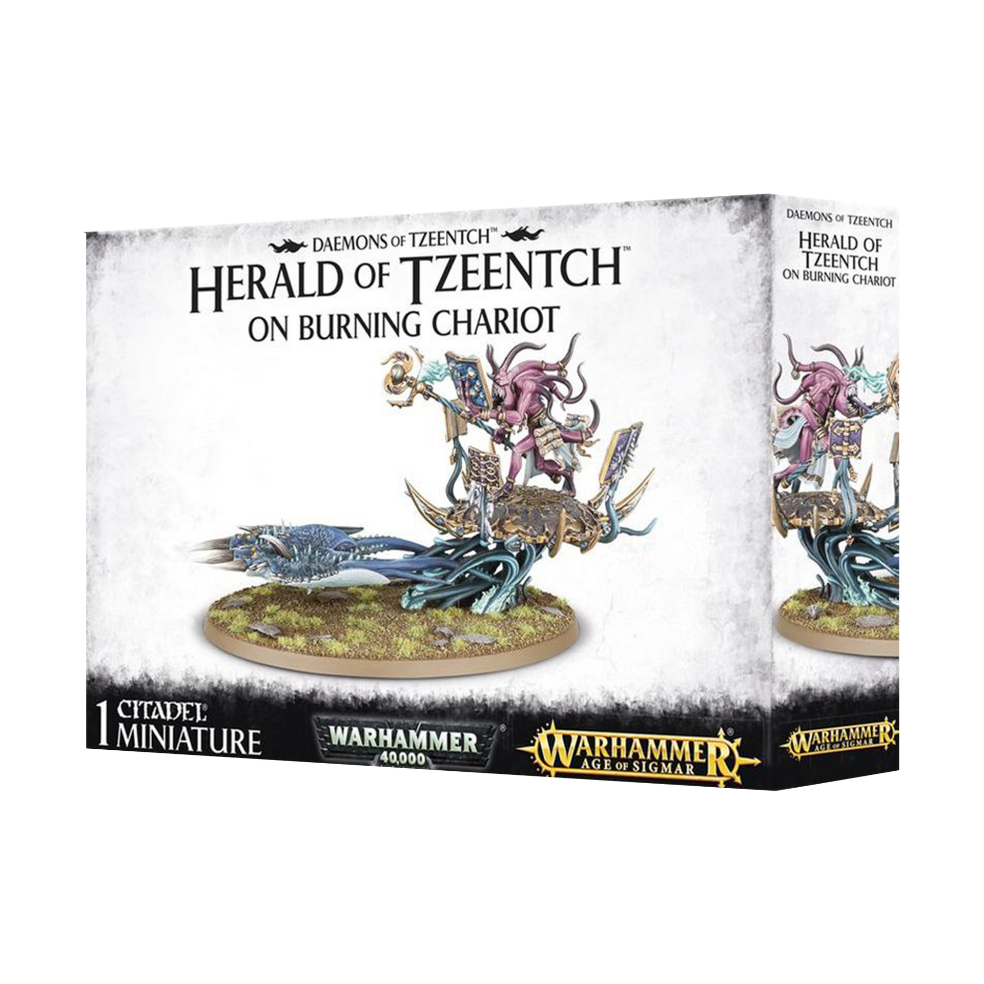 Fateskimmer, Herald of Tzeentch on Burning Chariot – Wargame Portal