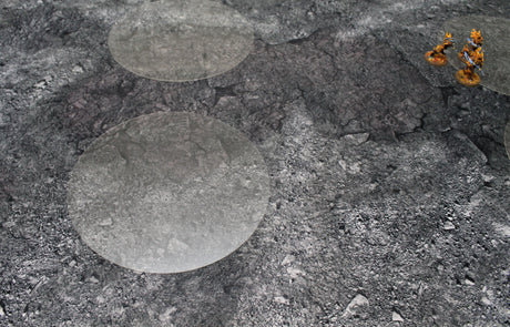 6" Objective Markers - Acrylic