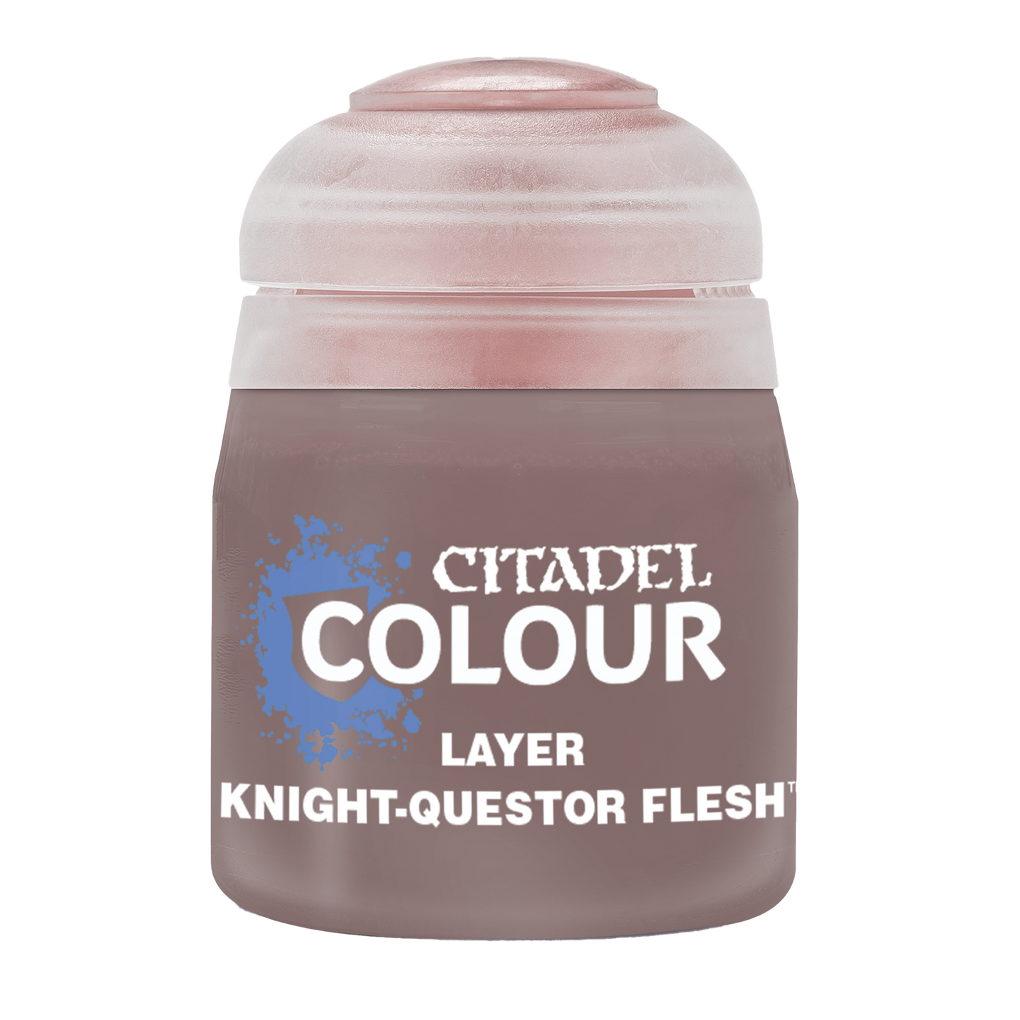 Knight-Questor Flesh