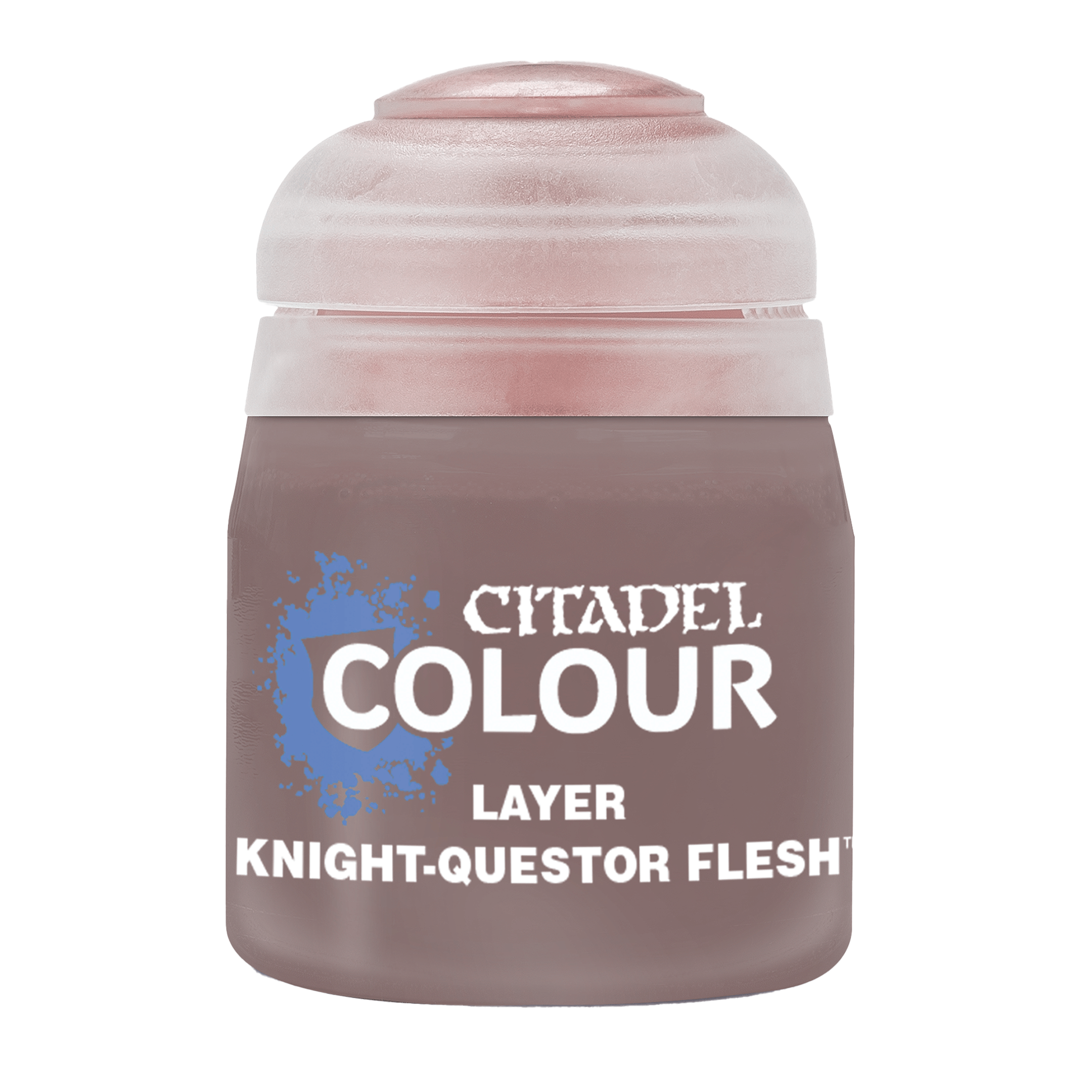 Knight-Questor Flesh