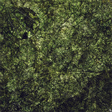 Mats by Mars: Creeping Mold Tabletop Wargaming Play Mat